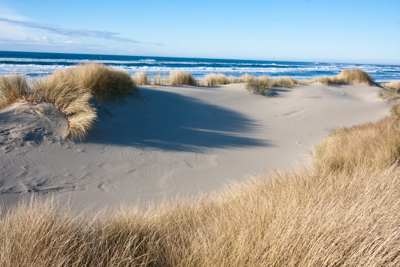 Dunes And Beach Grass